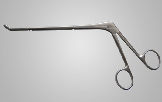 Pulp skeleton catch clamp