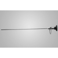Bladder endoscope