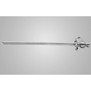 Mirror scabbard and closed