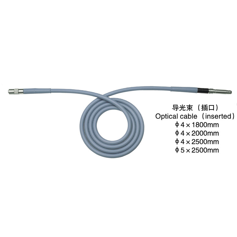 導光束（插口）